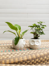 maceta-ceramica-para-plantas-de-interior-maceta-buho-cuidados-de-plantas-decoracion-del-hogar-con-plantas-purificadoras-singonio-philodendron-regalos-para-mujer-habibi-plantitas.jpg